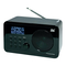 Radios DNT IP Diamond Bedienungsanleitung