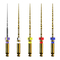 Zahnärztliche Ausrüstung Dentsply Sirona ProTaper Ultimate Gebrauchsanweisung