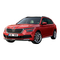 Autos Skoda KAMIQ Betriebsanleitung