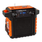 ION Garage Rocker
