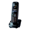Panasonic KX-TW221GBA