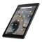 Asus Chromebook CT100PA