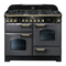 Herde Falcon Excel FSD 110 Dual Fuel Gebrauchs-, Installations- Und Wartungsanleitung