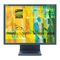 Monitore NEC MultiSync LCD1980SXi Bedienerhandbuch