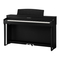 Kawai CN301