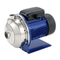 Pumpen Lowara BG Serie Installations- Und Bedienungsanleitungen