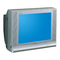 Fernseher Samsung CW-21A113N Bedienungsanleitung