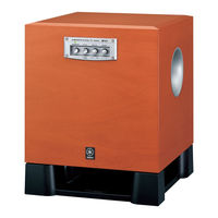 Yamaha YST-SW515 Bedienungsanleitung