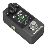 Tc Electronic Ditto+Looper Schnellstartanleitung