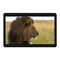 Tablets Blaupunkt Endeavour 1013 Bedienungsanleitung