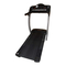 ProForm PETL62021