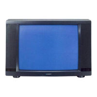 Blaupunkt IS 63-31 VT Bedienungsanleitung