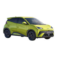 Byd DOLPHIN SURF 2025 Kurzanleitung