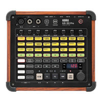 Korg KR-55 Pro Blitzstart