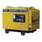 Generatoren Rotek GEN009 Benutzer- Und Wartungshandbuch