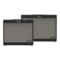 Fender TONE MASTER FR-10 Bedienungshandbuch