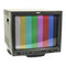 Monitore JVC TM-H1950CG Bedienungsanleitung