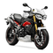 Motorräder Triumph Speed Triple Handbuch