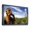promethean ActivBoard 300