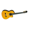Gitarren Yamaha CGX171CCA Bedienungsanleitung