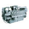 Motoren MTU 20 V 4000 C22 Bedienungsanleitung