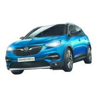 Opel 2019 Grandland X Betriebsanleitung