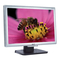 Acer AL2416W