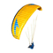 Swing Discus