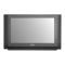Fernseher Panasonic TX-32M31D Bedienungsanleitung