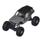 Ferngesteuerte Modelle Axial WRAITH Bedienungsanleitung