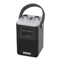 Roberts Blutune T2 Bedienungsanleitung