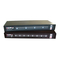 Switch Lindy P Serie Benutzerhandbuch