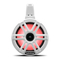 Rockford Fosgate M2WL-8