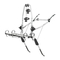 Fahrradträger Thule ClipOn High 9105 Handbuch