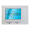 Schalttafel Remeha HMI Gas 310 Installation, Betrieb Und Wartung