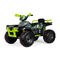 Ferngesteuerte Modelle Peg-Perego Polaris Sportsman 850 Gebrauch Und Wartung