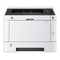 Drucker Olivetti PGL2535 Bedienungsanleitung