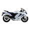 Suzuki HAYABUSA 2022