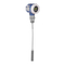 Endress+Hauser Levelflex M FMP43