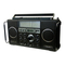 Receiver Grundig SATELLIT 2400 PROFESSIONAL Bedienungsanleitung