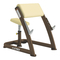 Fitness-Ausrüstung CYBEX Free Weight Scott-Curl Bedienungsanleitung