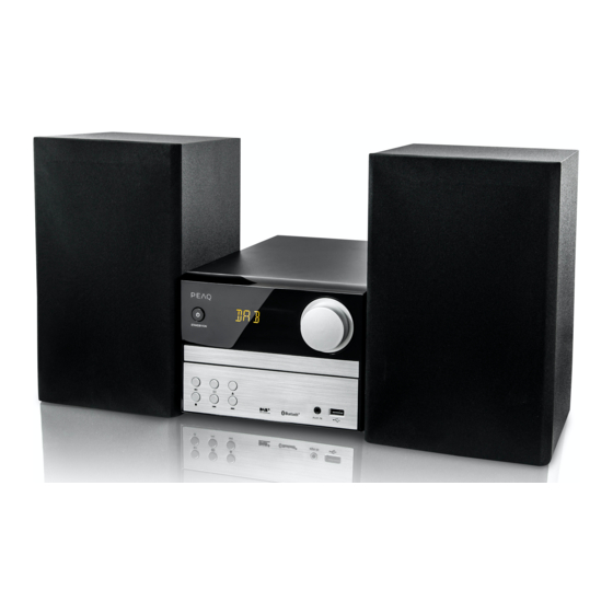 Peaq PMS310BT-SL DAB+ Handbücher
