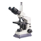 Mikroskope 3B SCIENTIFIC PHYSICS N180 Bedienungsanleitung