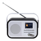 Daewoo AVS1403 - DAB/UKW-Radio mit Farbbildschirm Handbuch