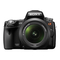 Sony SLT-A33