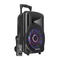 Lautsprecher-Systeme Fenton FT8LED Bedienungsanleitung