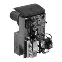 Viessmann VITOFLAME 100 Servicehandbuch