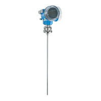 Endress+Hauser Levelflex FMP53 Installationsanleitung