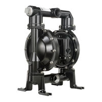 Ingersoll-Rand PX20P-XXX-XXX-AXXX Betriebshandbuch