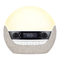 Lumie Bodyclock Luxe 750FM - Wecklicht-Wecker-Handbuch